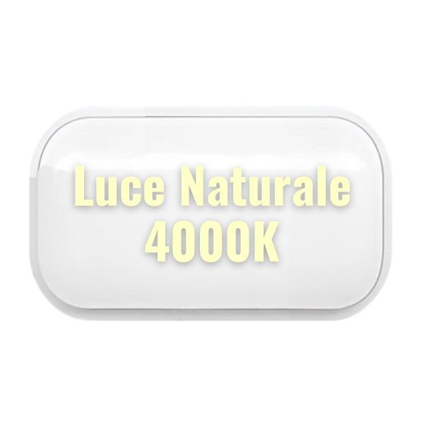 Plafoniera LED 30W IP65 Per Esterno 220V 100Lm/W 120° - Luce Naturale 4000k