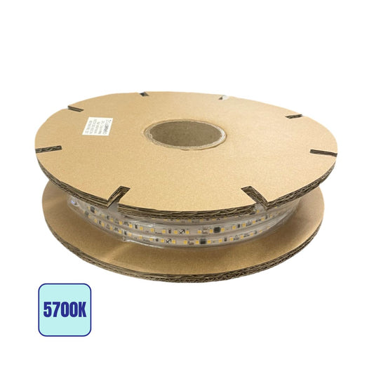 Bobina 20 Metri Neon LED SMD 220V 14W/m 120LED/m Luce Fredda 5700K - Olizon