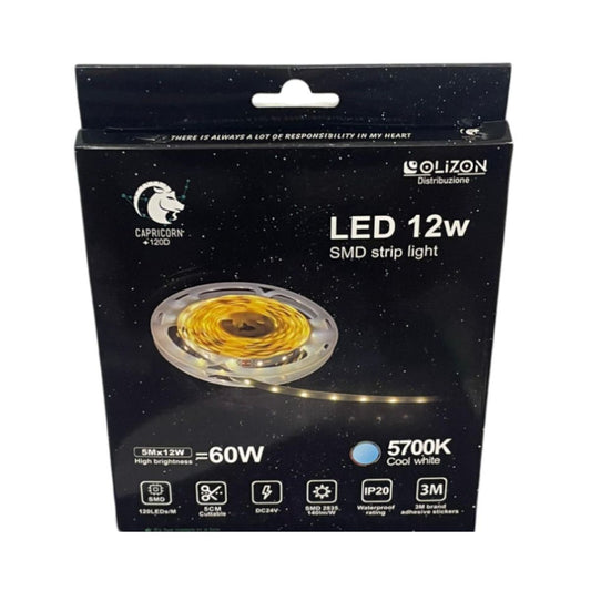 Striscia LED SMD 24V 12W/Mt 140Lm/W 5Mt IP20 - Luce Fredda 5700K - Olizon