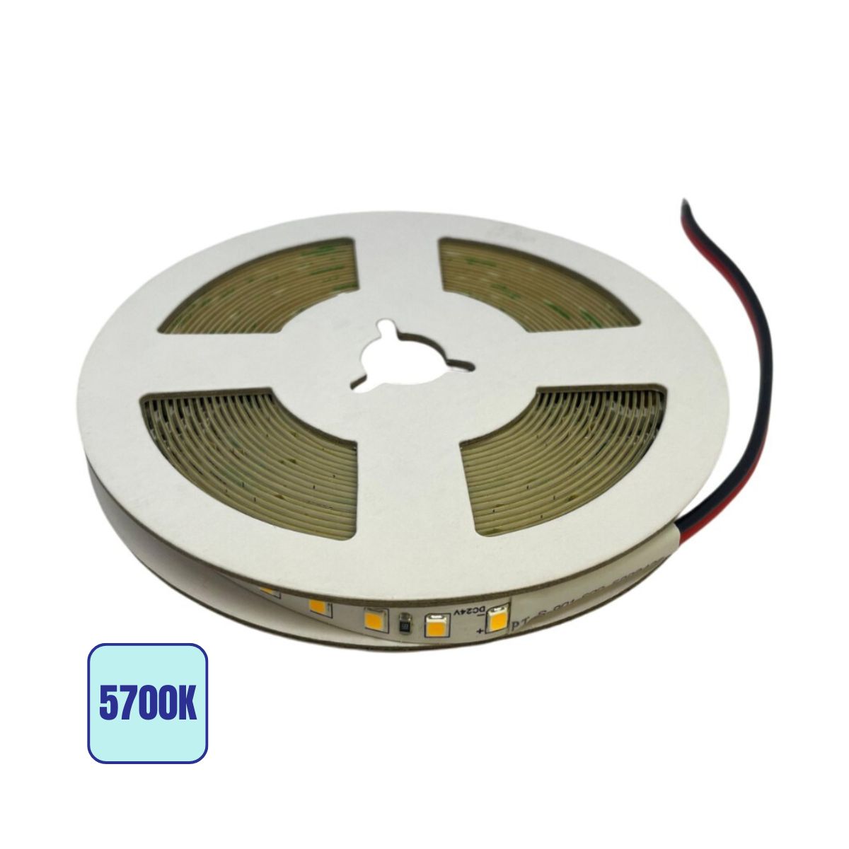 Striscia LED SMD 24V 12W/Mt 140Lm/W 5Mt IP20 - Luce Fredda 5700K - Olizon